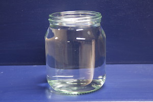 1lb Honey Jar with Lids